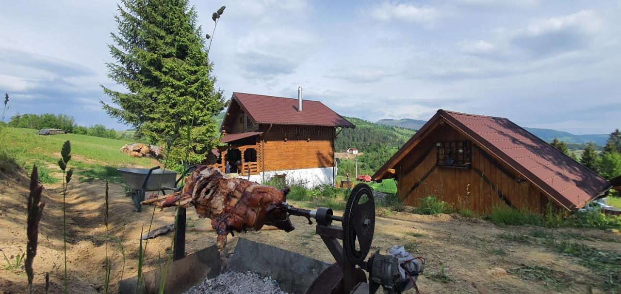 Tulean Cabin Bed & Breakfast Sacel  Exterior photo